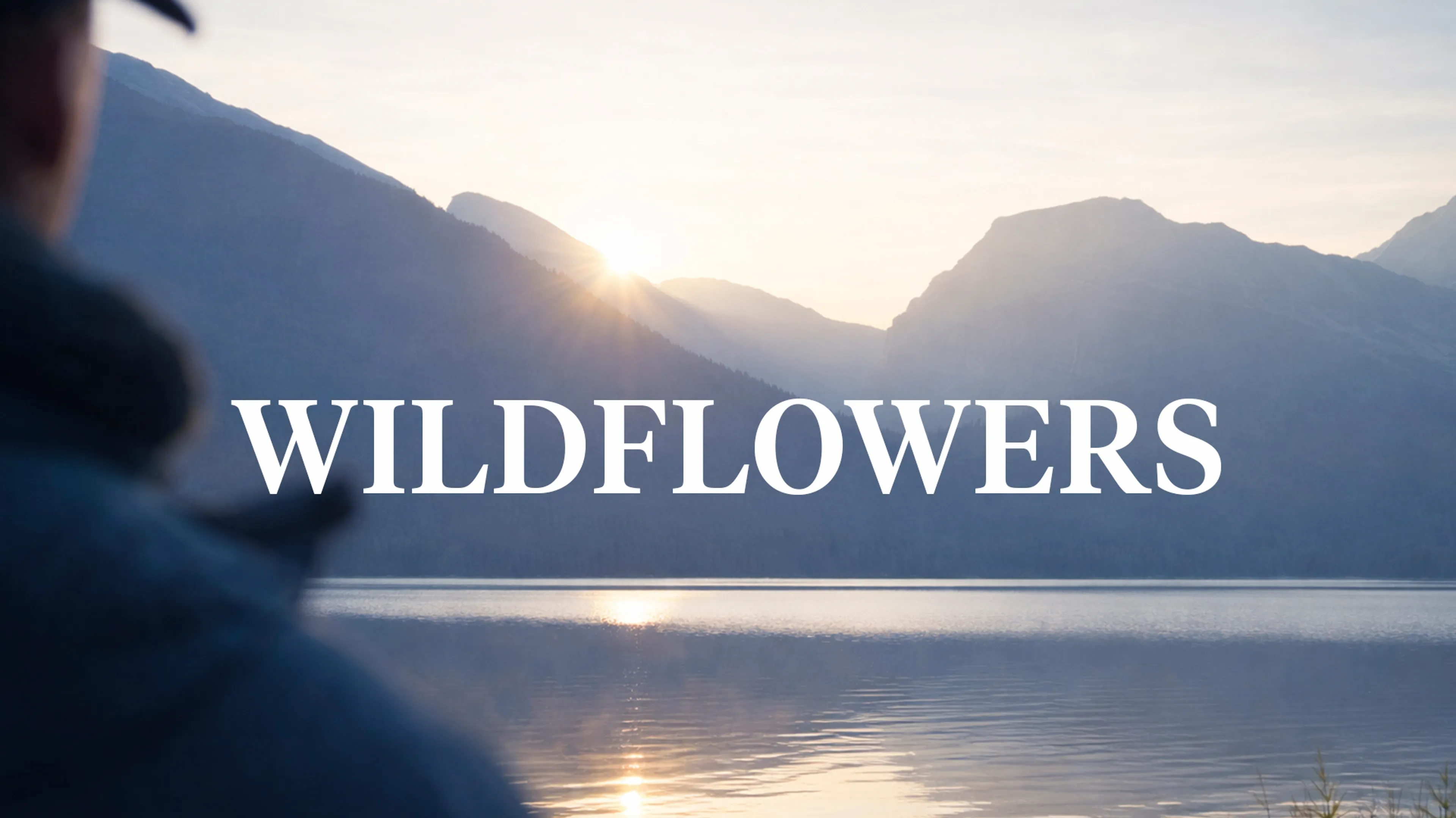 Wildflowers poster